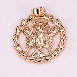 Кулон знак зодиака 