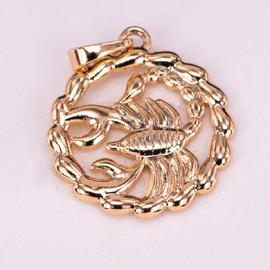 Кулон знак зодиака 